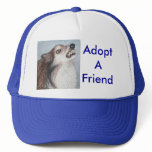 Adopt A Friend Hat