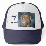 Adopt A Friend Hat