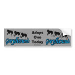 Adopt A Greyhound Bumper Sticker bumper stickers