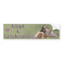 Adopt A Greyhound Bumper Sticker