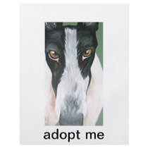Adopt a greyhound full color flyer