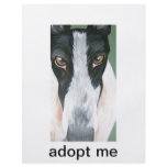 Adopt a greyhound flyers