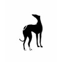 Adopt a Greyhound T Shirt