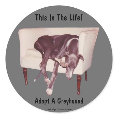 Adopt A Greyhound This Is The Life Sticker by SmilinEyesTreasures