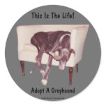 Adopt A Greyhound This Is The Life Sticker