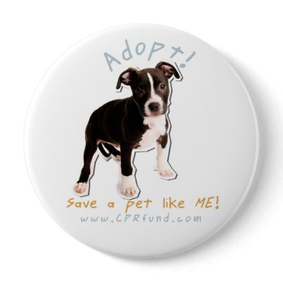 adopt a homeless dog! buttons by rescueadog