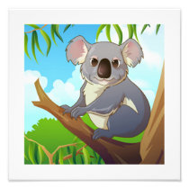 Adopt A Koala!