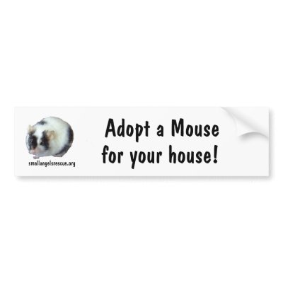 Adopt a Mouse for your house! Bumper Stickers by SmallAngelsRescue