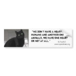 Adopt a Pet Bumper Stickers