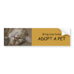 ADOPT A PET Bumper Sticker 1