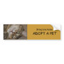 ADOPT A PET Bumper Sticker 1