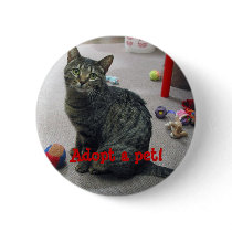 Adopt a Pet Button