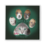 Adopt a pet refrigerator magnets