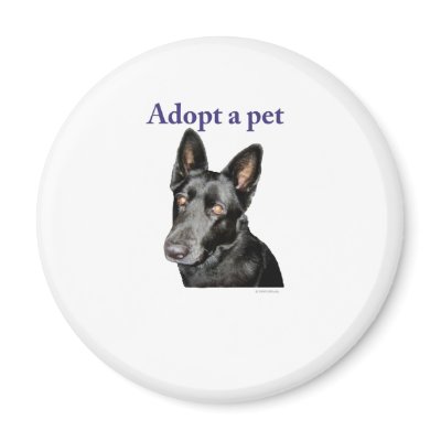 Adopt A Pet Magnets by DRCrafts