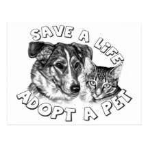 Adopt a Pet Post Card