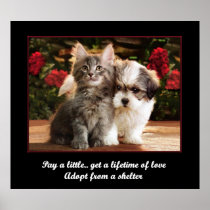 Adopt A Pet Posters