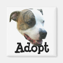 Adopt a Pit Bull Refrigerator Magnets
