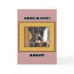 Adopt a puppy greeting card