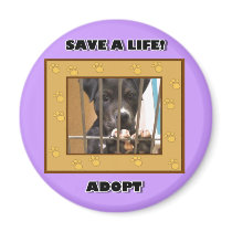 Adopt a puppy magnet