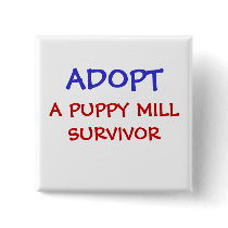 ADOPT, A PUPPY MILL SURVIVOR PINBACK BUTTONS