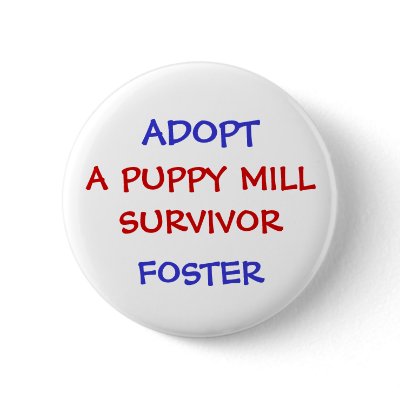 ADOPT, A PUPPY MILL SURVIVOR BUTTON by Stinkydoosmom
