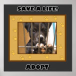 Adopt a puppy poster posters