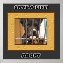 Adopt a puppy poster