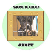 Adopt a puppy sticker