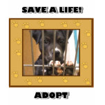 Adopt a puppy t-shirt