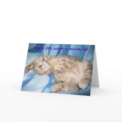 Adopt a rescue cat Greeting Card by Candys_Cats