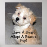 Adopt A Rescue Pup! Posters