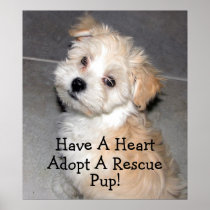 Adopt A Rescue Pup! Posters