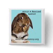 Adopt A Rescued Rabbit! Pin