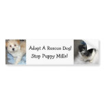 Adopt A Resuce Dog - Havanese Puppies bumper stickers