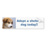 Adopt a shelter dog bumper sticker