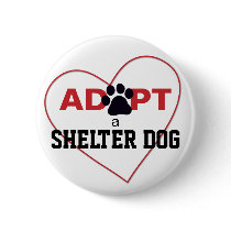 Adopt a Shelter Dog