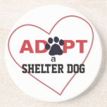 Adopt a Shelter Dog