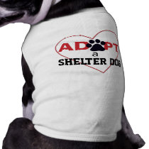 Adopt a Shelter Dog