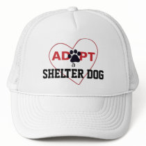 Adopt a Shelter Dog