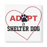 Adopt a Shelter Dog