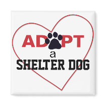 Adopt a Shelter Dog
