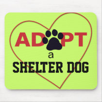 Adopt a Shelter Dog