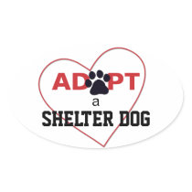 Adopt a Shelter Dog