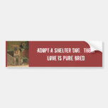 Adopt a shelter dog.  Their love is pure Bumper Sticker