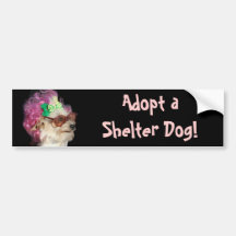 Adopt a Shelter Dog Toy Mix Dog Bumper Sticker
