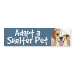 Adopt a Shelter Pet Bulldog-Beagle Mix bumper stickers