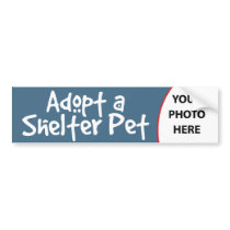 Adopt a Shelter Pet
