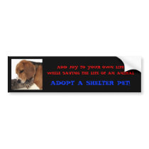 Adopt A Shelter Pet! Bumper Stickers