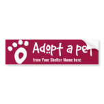 Adopt a Shelter Pet