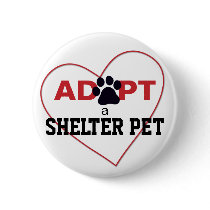 Adopt a Shelter Pet